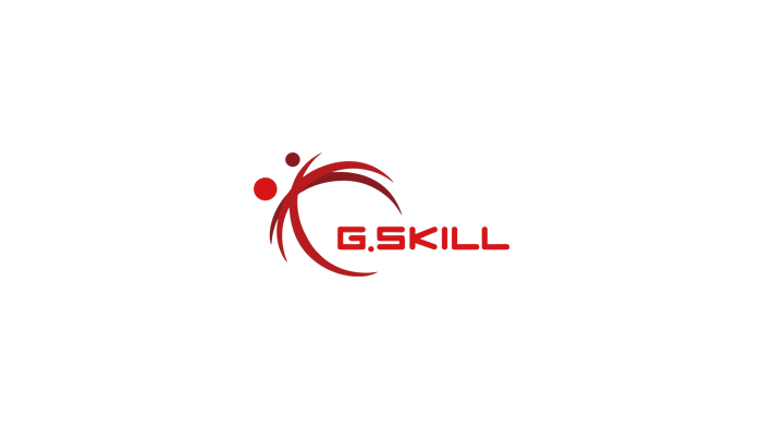 GSKILL.png